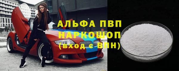 PSILOCYBIN Алзамай