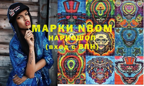 PSILOCYBIN Алзамай