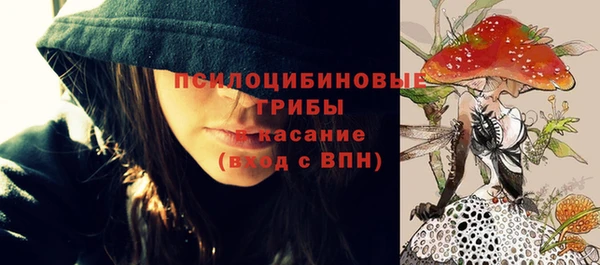 PSILOCYBIN Алзамай
