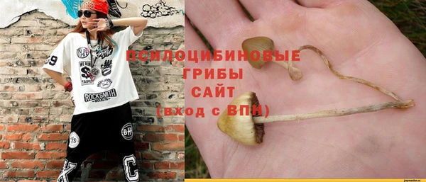 PSILOCYBIN Алзамай