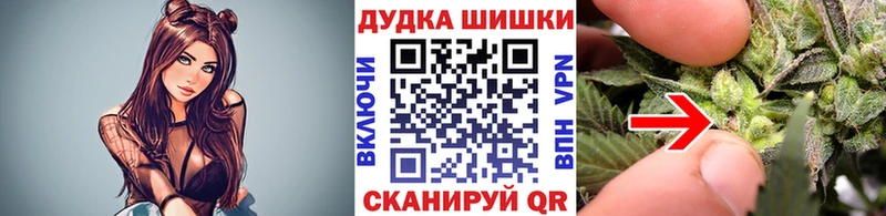 Конопля ГИДРОПОН  закладка  Снежинск 